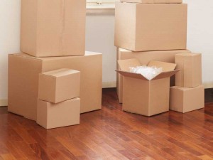 Cajas de Cartón Económicas